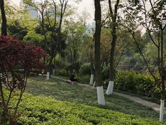 -龙头寺公园