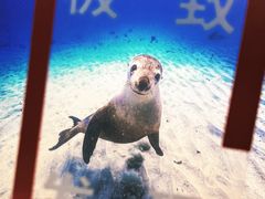 -福州海峡文化艺术中心