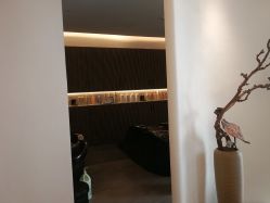 -C-18 SALON