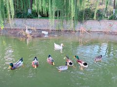 -南翠屏公园
