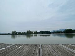 -三垟湿地
