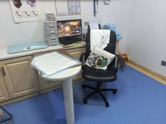 -天使宠物医院·犬猫分诊(彩虹店)