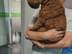 -爱侣宠医·鹦鹉专科·小型哺乳类·异宠专科(灵石路店)