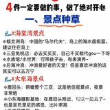 三亚旅游😷14件不能做的事，做了绝对后悔
