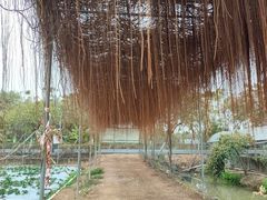 -尚果生态采摘园