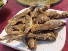 -东兴寒舍老北京炸酱面(三里河路店)