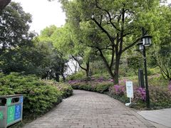 -苏州上方山国家森林公园