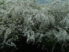 -中国茶叶博物馆(双峰馆区)