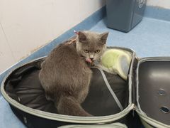 -博特宠物医院24h犬猫全科.骨科·异宠