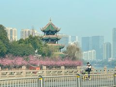 -望江楼公园