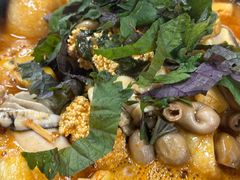 -大富蚝乌东哥饭店·石锅鱼杂·柠檬鸭(革新路店)