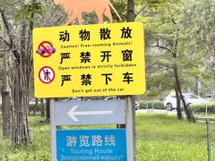 -秦皇岛野生动物园