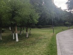 -成都市活水公园