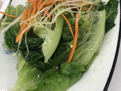 -东北饺子馆(马尾君竹店)