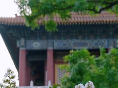 -故宫博物院(故宫)