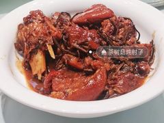 东坡肘子-正兴蜀园(科技园区店)