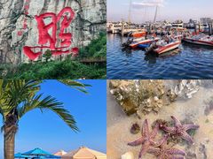 -巧克力渔家.小船海鲜胶东菜(万平口店)