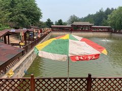 -尚庄度假村·庭台树下·户外烧烤·团建CS·轰趴营地(上庄水库店)