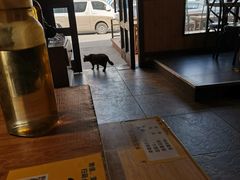 大堂-猫姑娘大盘鸡(商城路店)