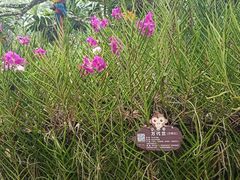 -海南热带野生动植物园