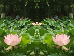 -四川大学(华西校区)