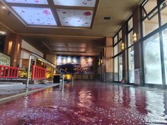 -大江户·温泉洗浴(浑南店)