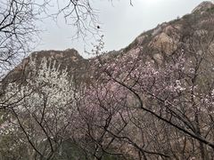 -北京凤凰岭