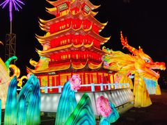 -武汉园博园(武汉自然博物馆)