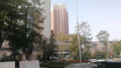 -河南中医药大学第一附属医院-医疗整形