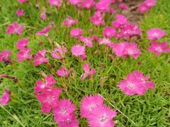 -汉长安城未央宫国家考古遗址公园