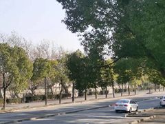 -胜华驾校·小猫学车(银都店)