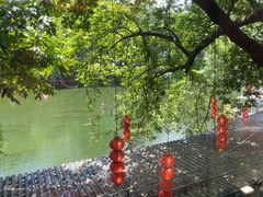 -侨美·唐荔园·40年地道粤菜