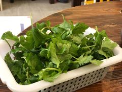 -正能量脆肉鲩火锅