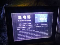 -南昌海洋公园