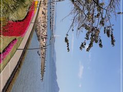 -深圳湾公园(南山区)