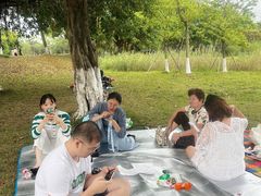 -鹤之洲湿地公园