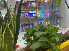-严厨老坛酸菜鱼(吴江万宝店)