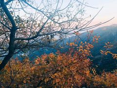 -香山公园-东宫门售票处