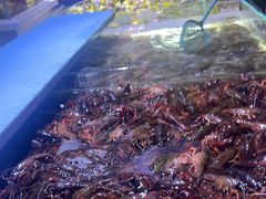 -聚盛源蒸汽海鲜火锅烤肉自助(巨川金海岸购物广场店)