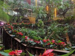 -正佳雨林生态植物园