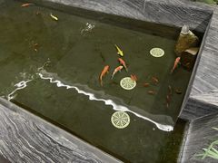 -北苑汤泉