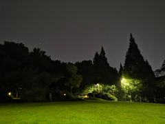 -青枫公园
