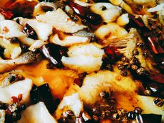 水煮鲈鱼-鑫巴蜀(和平里店)