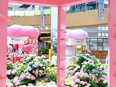 -上海长风大悦城