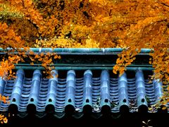-月坛公园