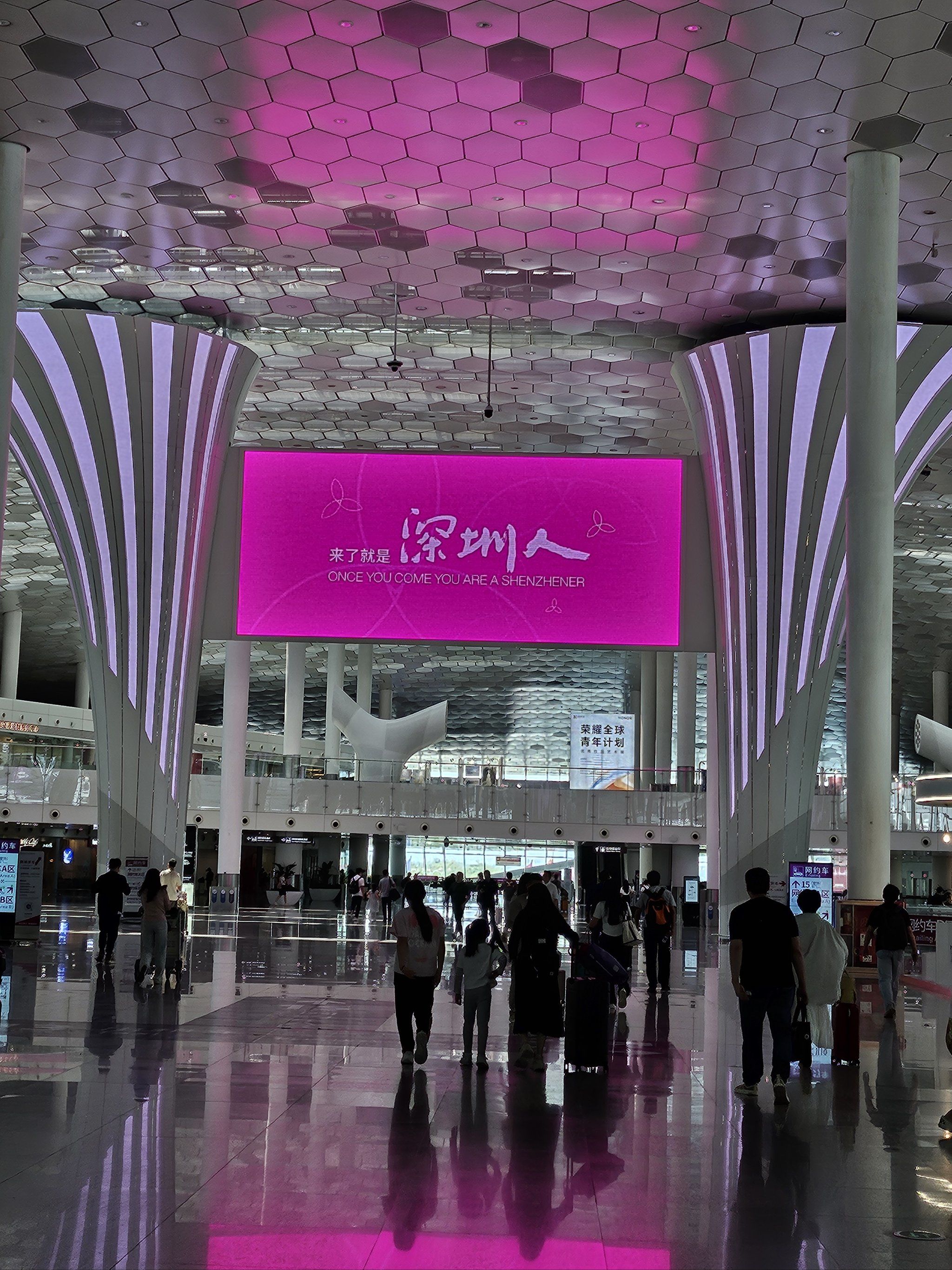 人在深圳,人在深圳txt完整版 人在深圳,人在深圳txt完整版