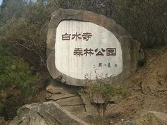 -白水寺森林公园