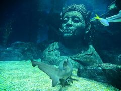 -暹罗海洋世界