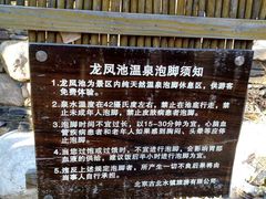 -古北烤梨