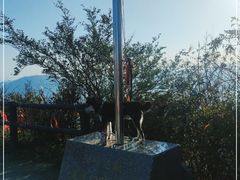 -江西阳明山国家森林公园